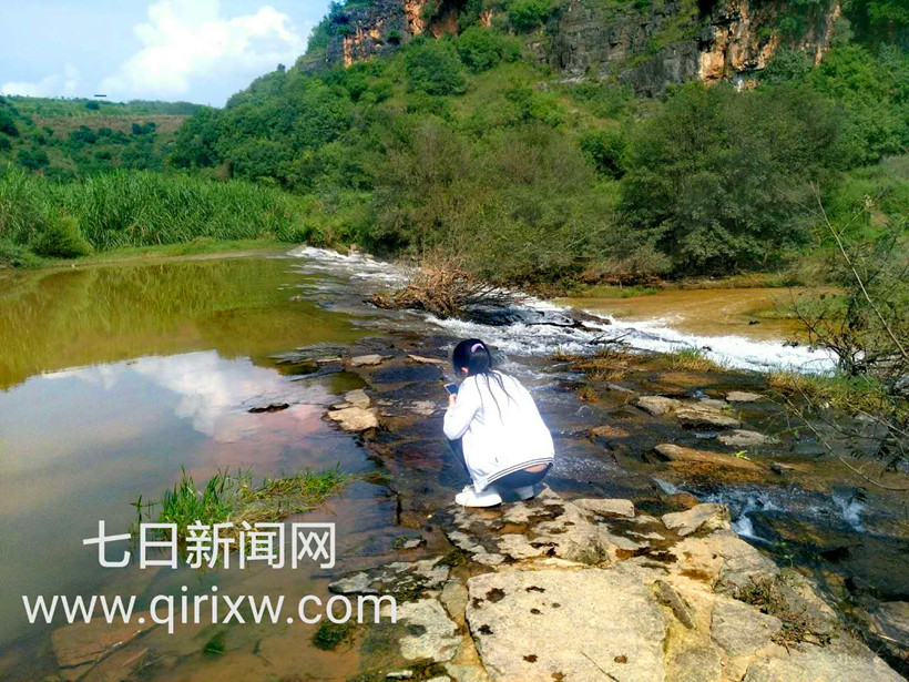 严丽：一个乡村医务工作者的人生写照