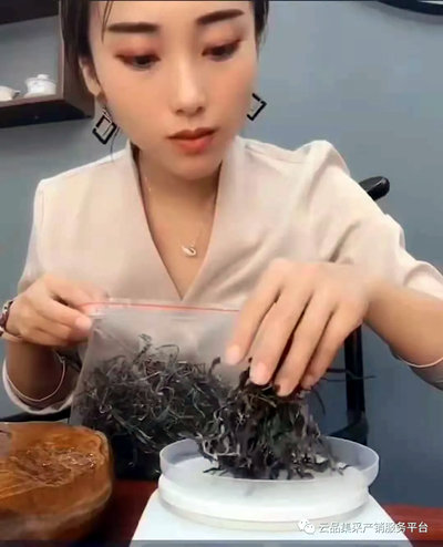 一县一品之——普洱茶